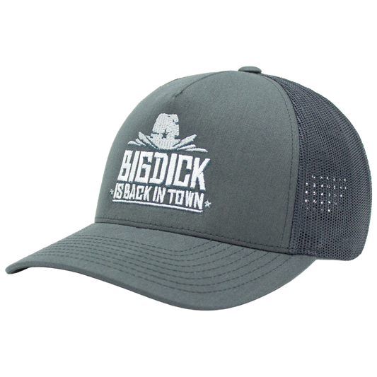 Big dick is back in town