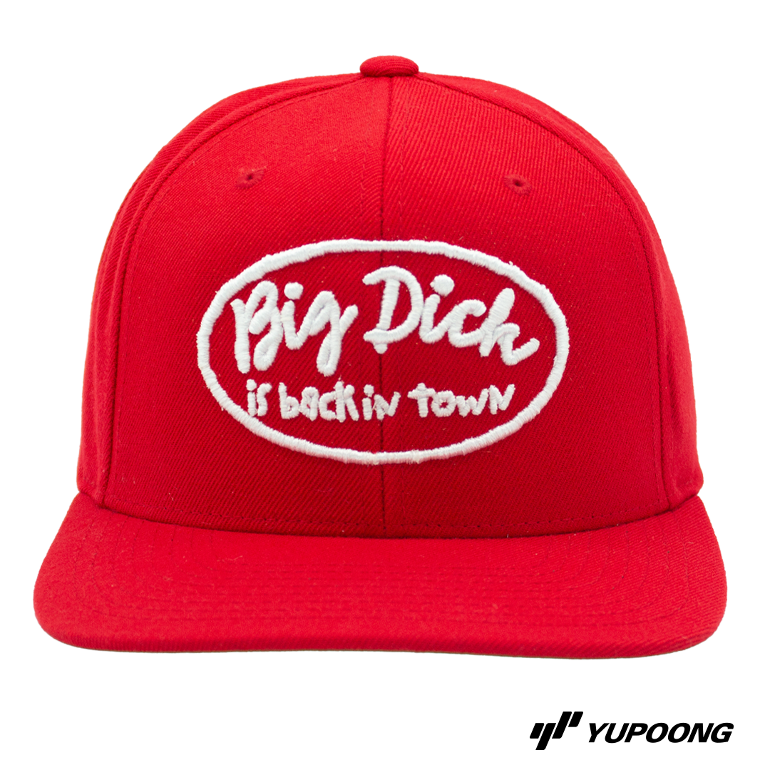 Snapback Big dick is back in town (Vit brodyr)