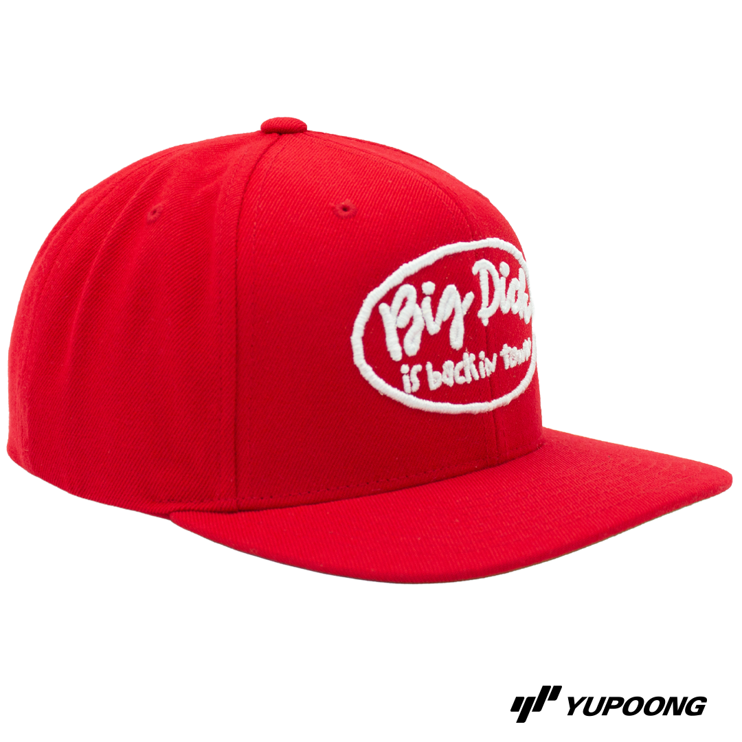 Snapback Big dick is back in town (Vit brodyr)