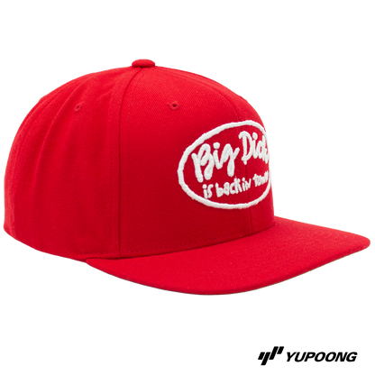 Snapback Big dick is back in town (Vit brodyr)