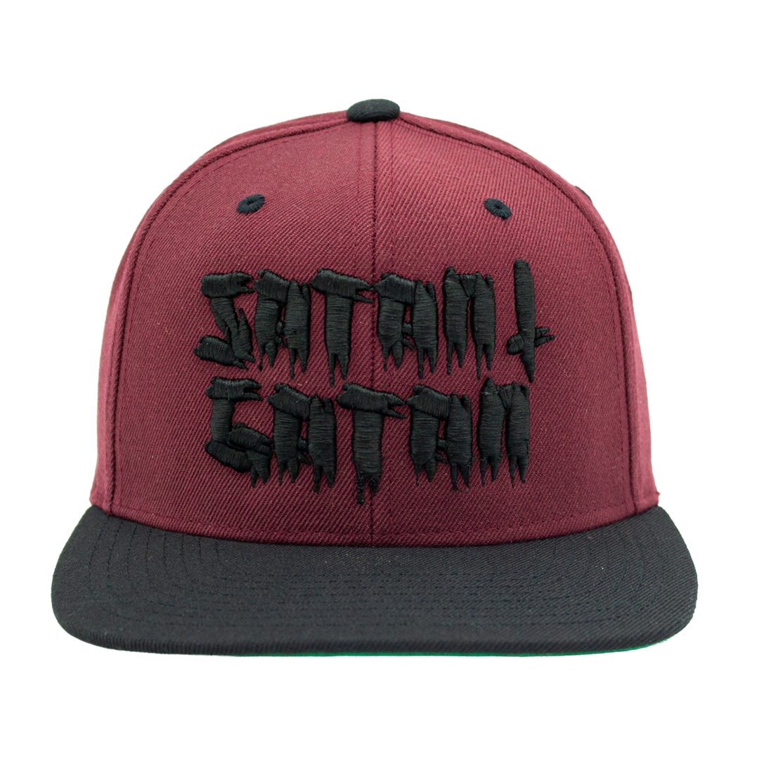 Snapback - Satan i gatan [3d brodyr]