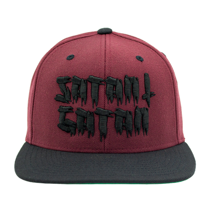 Snapback - Satan i gatan [3d brodyr]