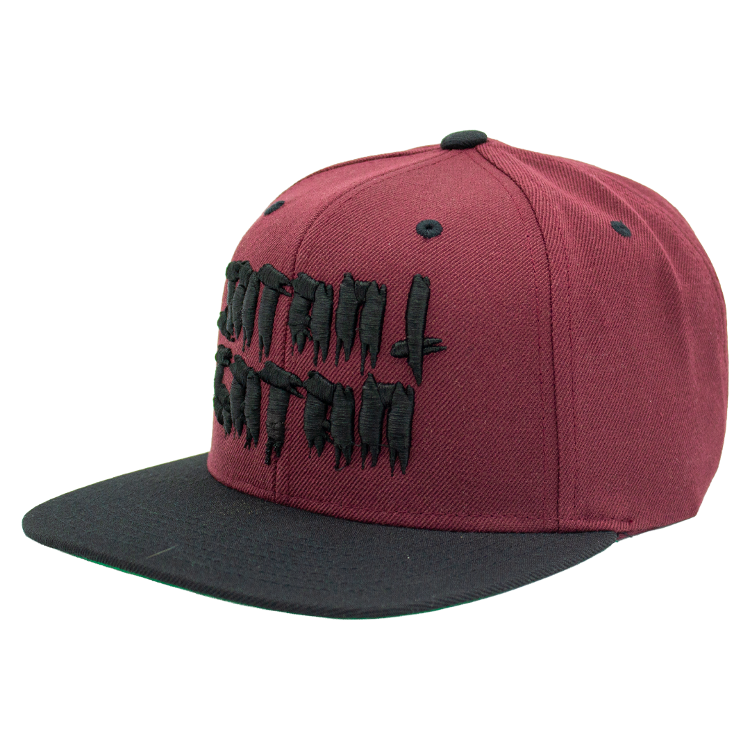Snapback - Satan i gatan [3d brodyr]