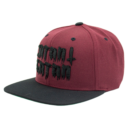 Snapback - Satan i gatan [3d brodyr]