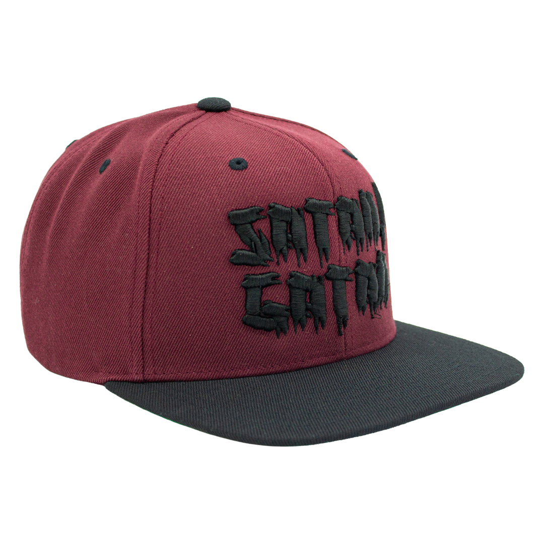 Snapback - Satan i gatan [3d brodyr]