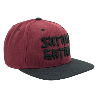 Snapback - Satan i gatan [3d brodyr]