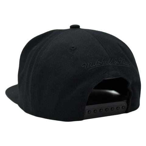 Spark – Swedish Kick Mitchell & Ness Original Snapback bakifrån