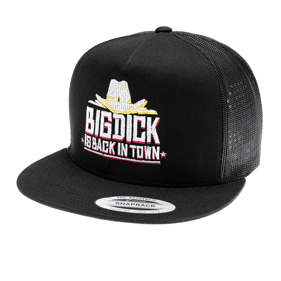 Trucker Big dick is back in town [vit brodyr]